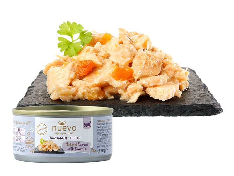 Salmone naturale fatto a mano con carote 