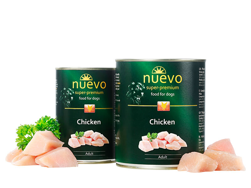 Pollo